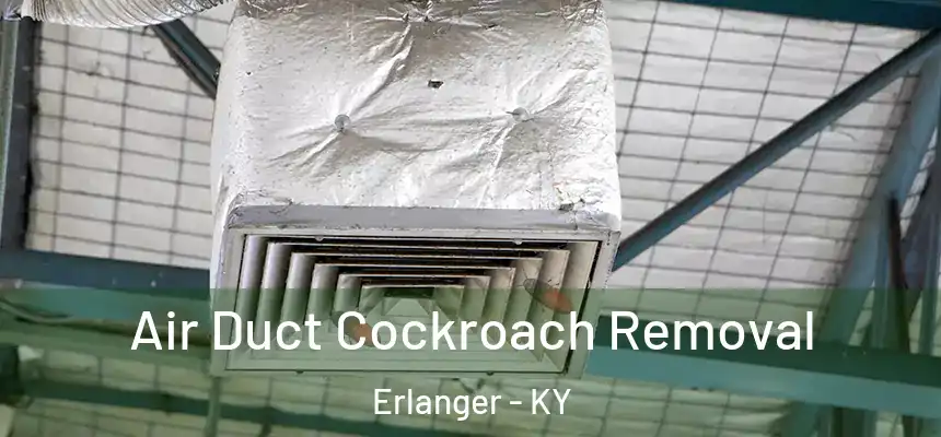 Air Duct Cockroach Removal Erlanger - KY