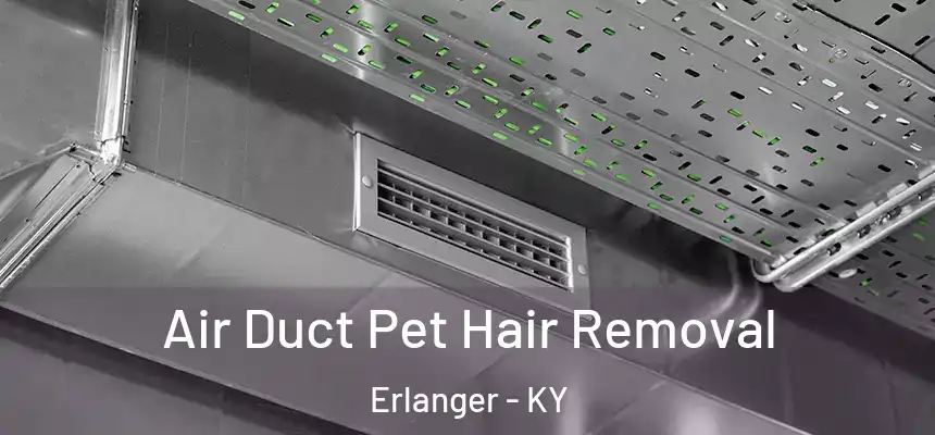  Air Duct Pet Hair Removal Erlanger - KY