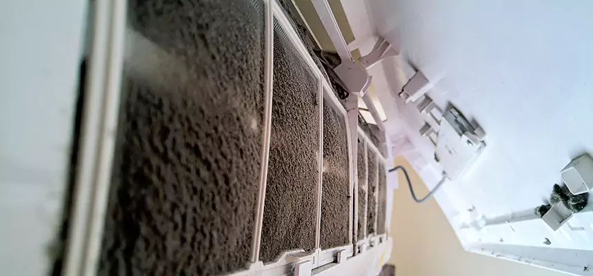 Preventive Air Duct Bacteria Removal in Erlanger