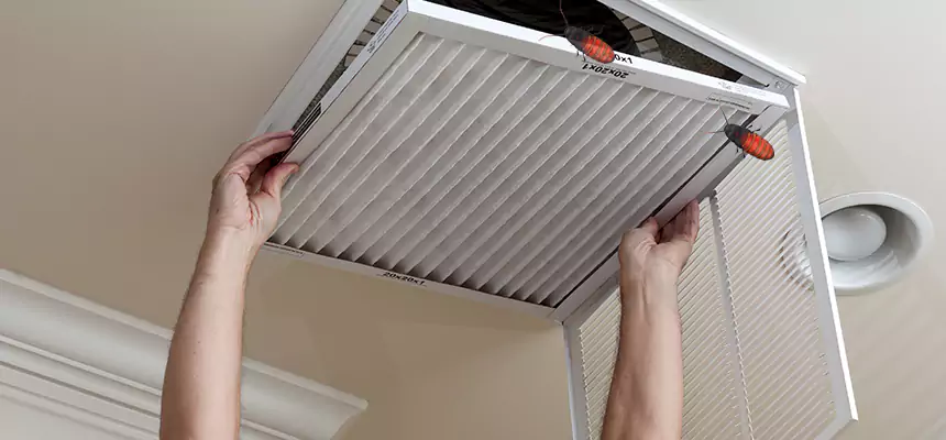 Preventive Cockroach-Proofing for Ducts in Erlanger
