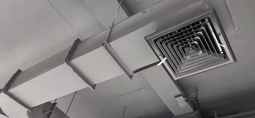 Restorative Allergy Relief Vent Cleaning – Coil, Blower & Housing Detail in Erlanger