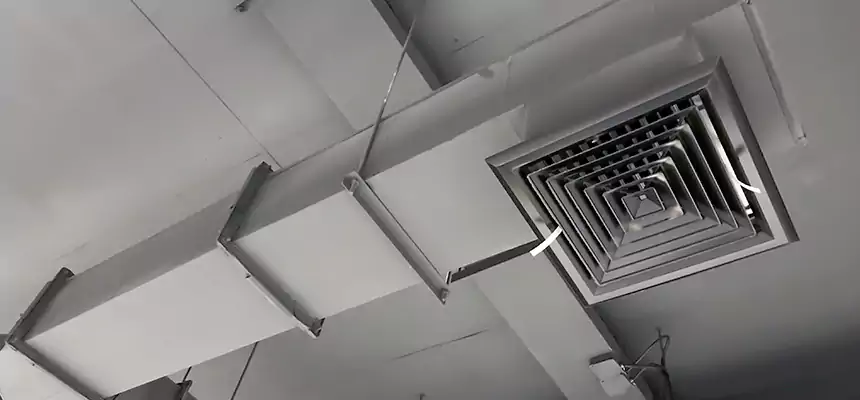 Our Rodent Droppings In Vents Services in Erlanger, KY