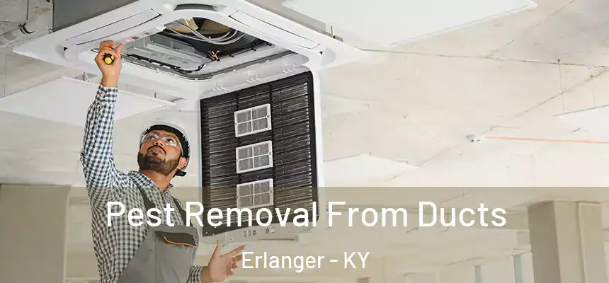  Pest Removal From Ducts Erlanger - KY