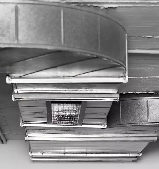 Professional Air Duct Pest Removal in Erlanger, KY