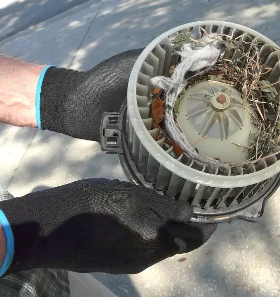 About Air Duct Rat Removal in Erlanger, KY