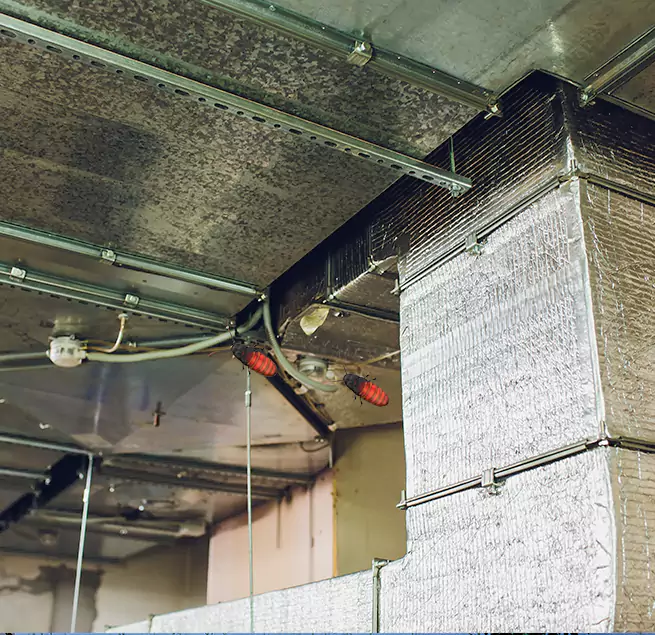 Why Homeowners & Businesses Trust Us in Erlanger, KY?