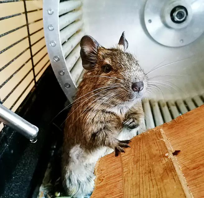 Why Homeowners & Businesses Trust Us Erlanger, KY?