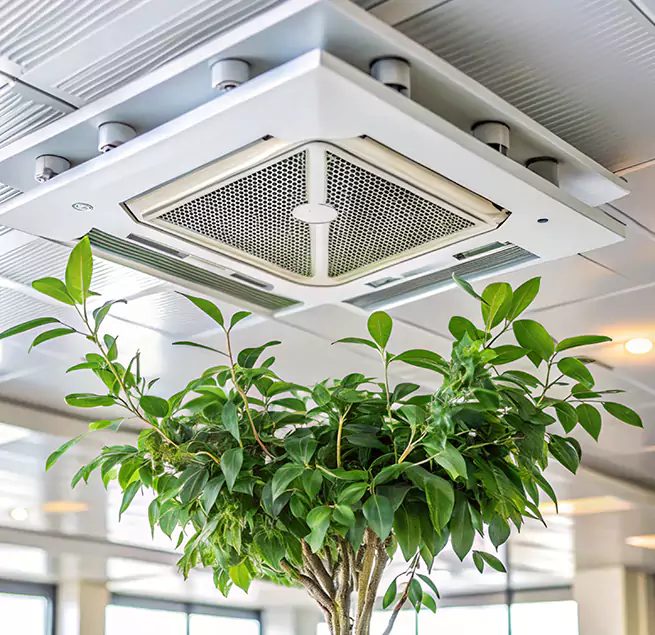 Why Homeowners & Businesses Trust Us in Erlanger, KY